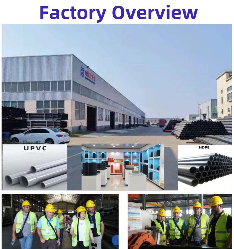 product-750-800 product-750-800